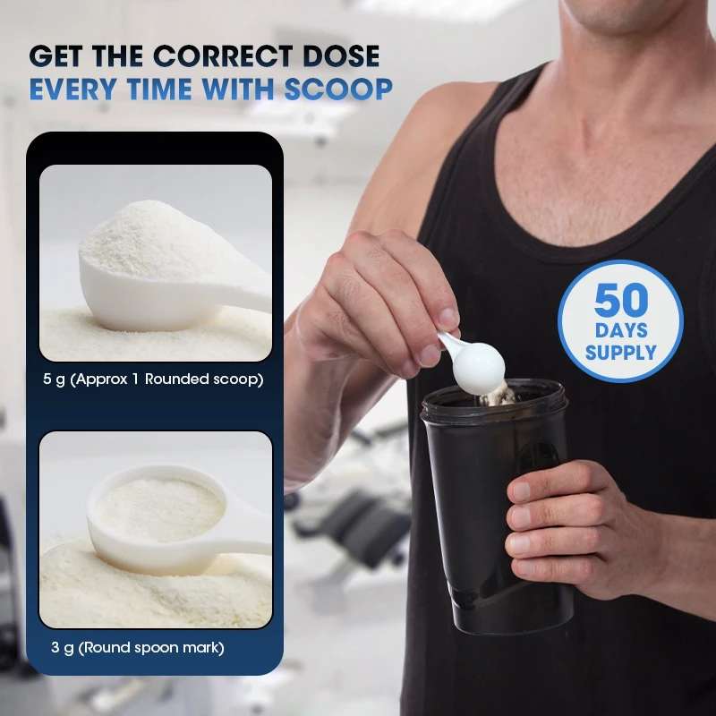 Kexinsh Creatine Monohydrate P - Creatine Monohydrate Powder 评论和价格