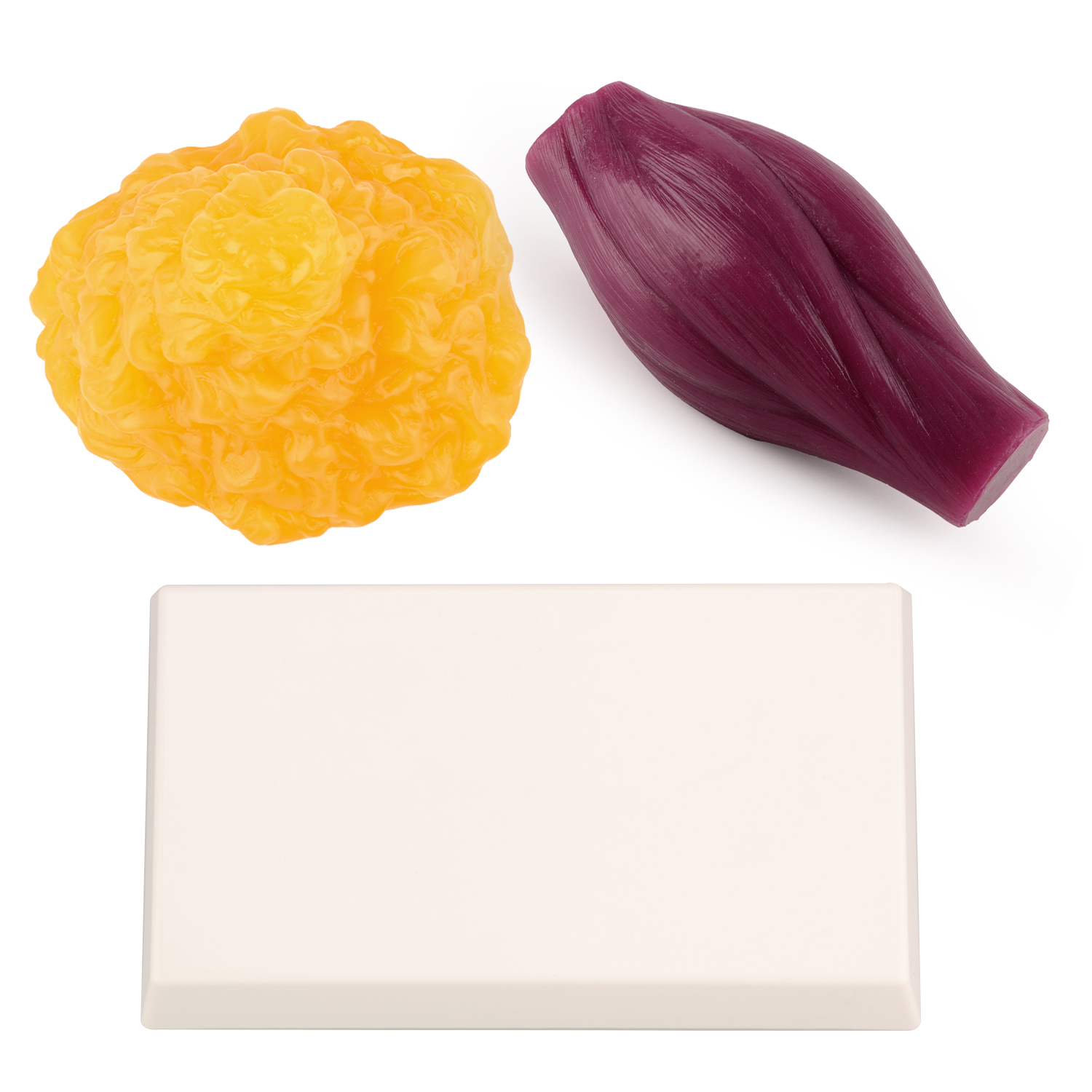 1lb Fat Replica & Muscle to Ke - Fitness With Nutrition 评论和价格