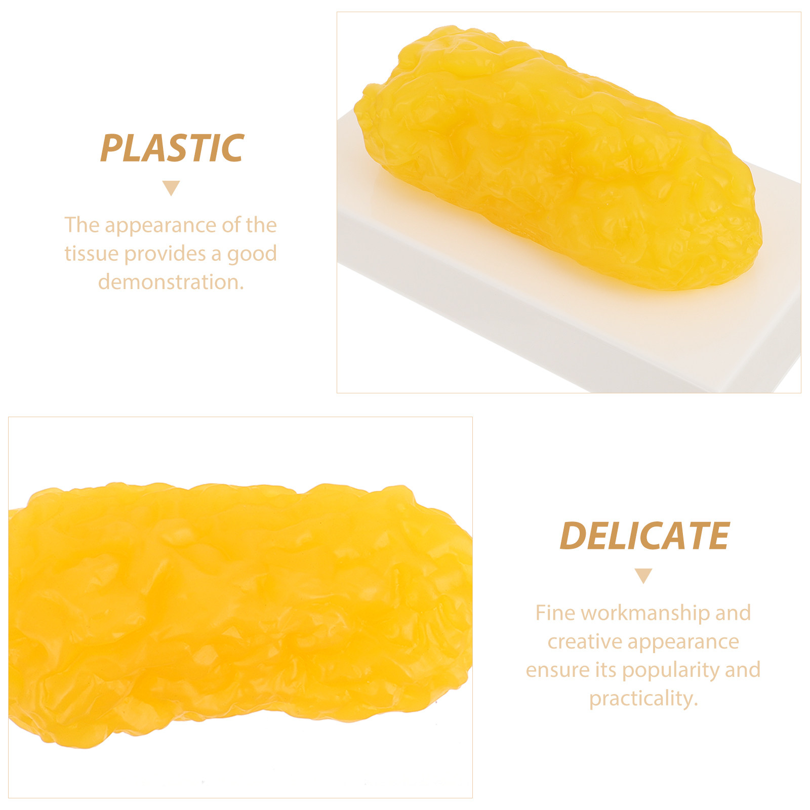 Human Body Fat Pound Plastic F - Fitness With Nutrition 评论和价格