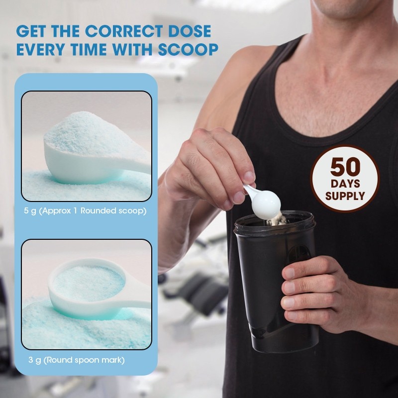 Creatine Monohydrate Powder Ce - Creatine Monohydrate Powder 评论和价格